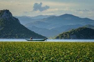 Fisherman on Skadar Lake