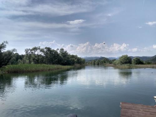 boat ride on skadar lake montenegro